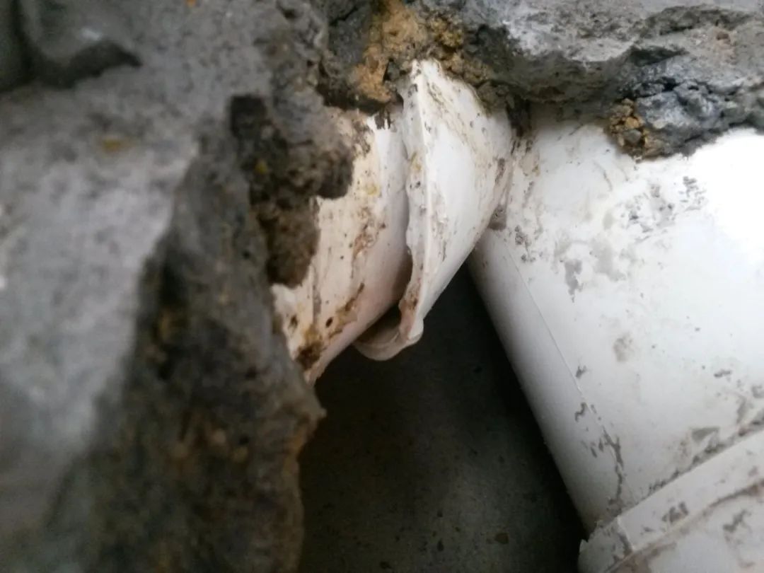 1714112750663550.jpg 640 (5).jpg