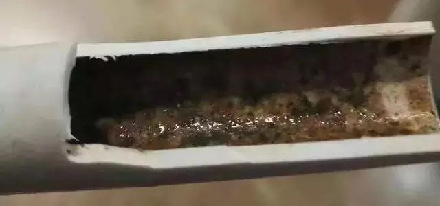 1714112767109171.jpg 640 (6).jpg