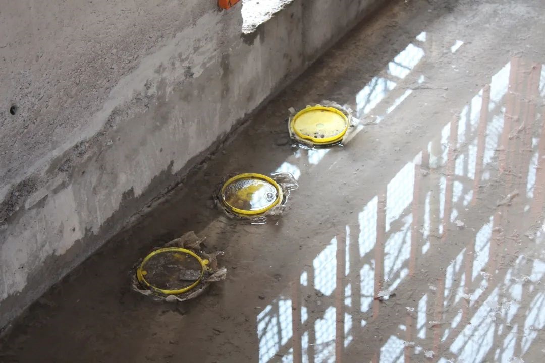 1724489545707184.jpg 640 (2).jpg