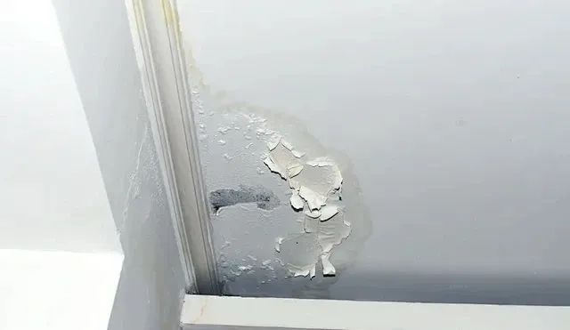 1724489814123070.jpg 640 (4).jpg