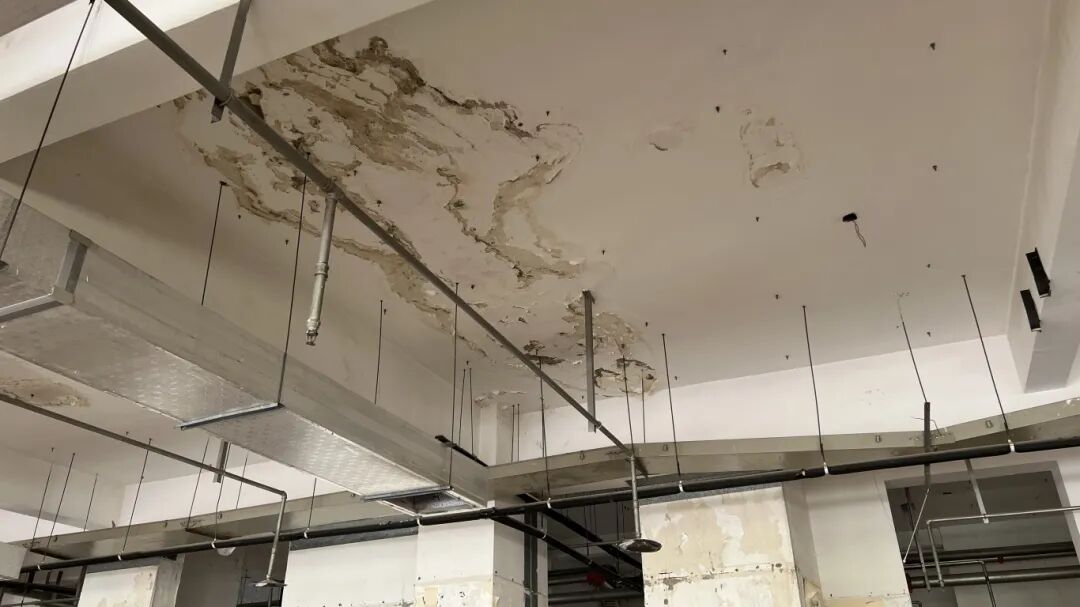 1763716414777240.jpg 640.jpg